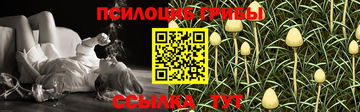 Кумертау  Псилоцибиновые грибы Psilocybine cubensis  Вход с VPN 