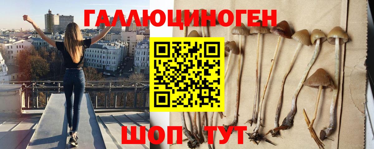 Псилоцибиновые грибы мухоморы Кумертау